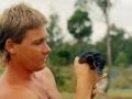 Tribute to Steve Irwin