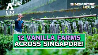Download lagu Meet The Couple Bringing REAL Vanilla To Singapore | Singapore Hour mp3