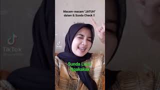 Download lagu Bahasa Sunda Lucu Ngakak mp3
