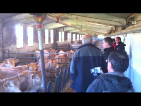 download lagu mp3 mp4 Indart, download lagu Indart gratis, unduh video klip Indart