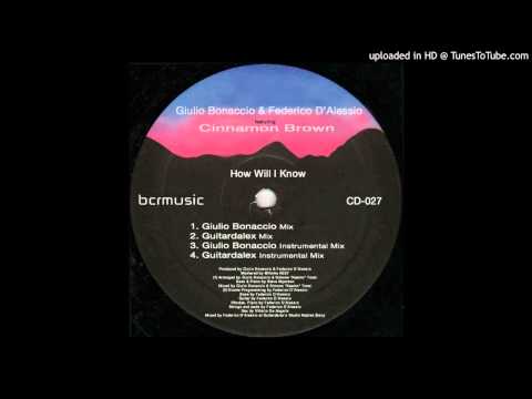 Cinnamon - How Will I Know ( Guitardalex Tribute )