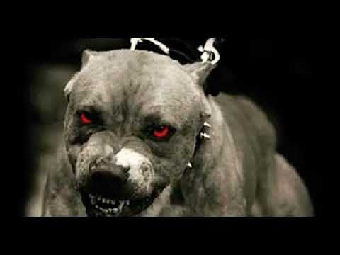 2Pac ft. Tech N9ne_ Freddie Gibbs _ Young Buck - Remix Slayers   توباك (Remix)(360P)