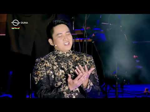 Lehár Ferenc: Mosoly országa - Vágyom egy nő után - Ninh Duc Hoang Long