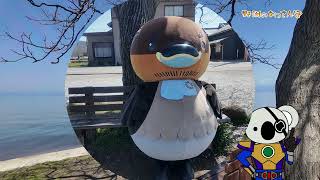 【野洲のおっさんぽ】あのベンチ編【びわ湖】