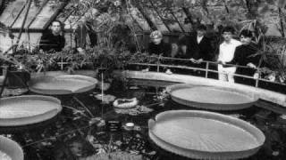 Simple Minds &quot;Tonight&quot; Live Mars Bar 1978