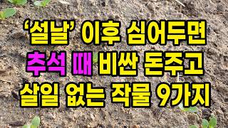 설날 이후 심어두면 추석 때 비싼 돈 주고 살일 없는 대박 작물 9가지