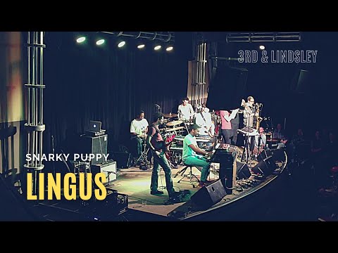 Snarky Puppy "Lingus" • 2013