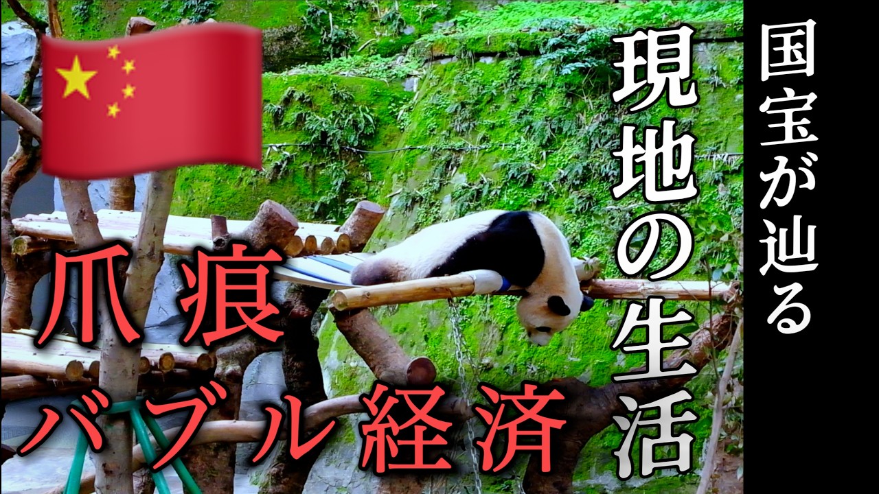 日本から消えた。。54年続いたパンダ外交終焉とその後