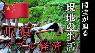 日本から消えた。。54年続いたパンダ外交終焉とその後