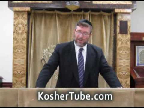 65 - The Omer - Rabbi Daniel Korobkin - Lag B-Omer (2012 05 08))