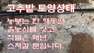 [고추밭토양상태]농부는 매년 흙농사를 짓고 농사는 그 위에 여러 작물들이 해마다 거쳐갈 뿐입니다.