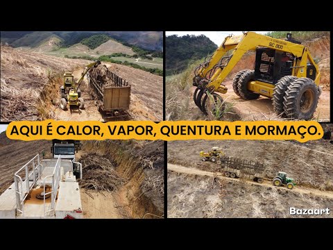 CARREGO A TODO VAPOR EM BATATEIRAS DA USINA UNIÃO EM PRIMAVERA-PE 