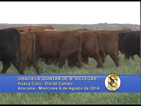 Día de Campo - Huaca Curú - Graciela Quintan de B. Villegas - Azucena - 06/08/2014