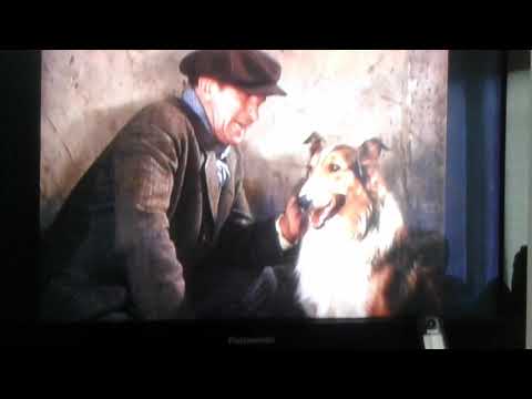 Lassie come home part 1 clip
