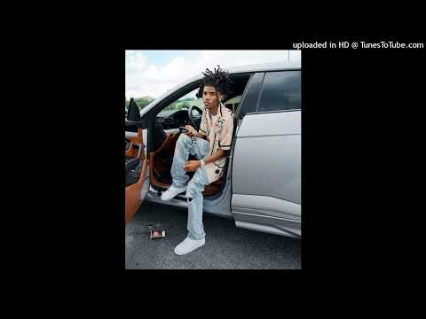 [FREE] Lil Darius X Nardo Wick Type Beat 2024 "More Money" (prod. Leggze)