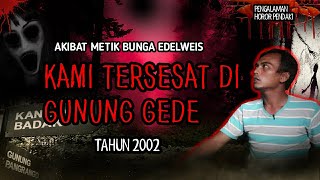 Download lagu KAMI TERSESAT DI GUNUNG GEDE TH 2002! AKIBAT METIK BUNGA EDELWEIS KAMI DI TEROR MAHLUK GAIB mp3