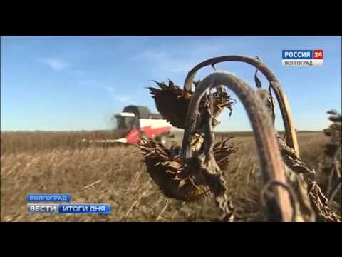 Владимир Струк: «Наш регион имеет высокий потенциал развития отраслей АПК»