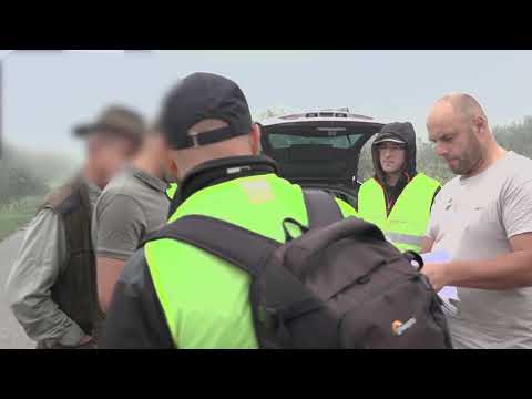 STAWY ZATORSKIE | Społeczny monitoring polowań na ptaki