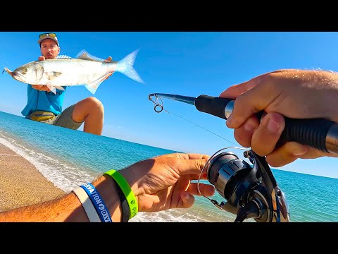 SEPTEMBER PREDATORS! Leerfish and Bluefish from an Italian Beach with Jerkbait [Part 1]
