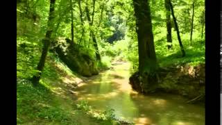 0 bpm ambient mix Vol8 - Gardens Where We Feel Secure