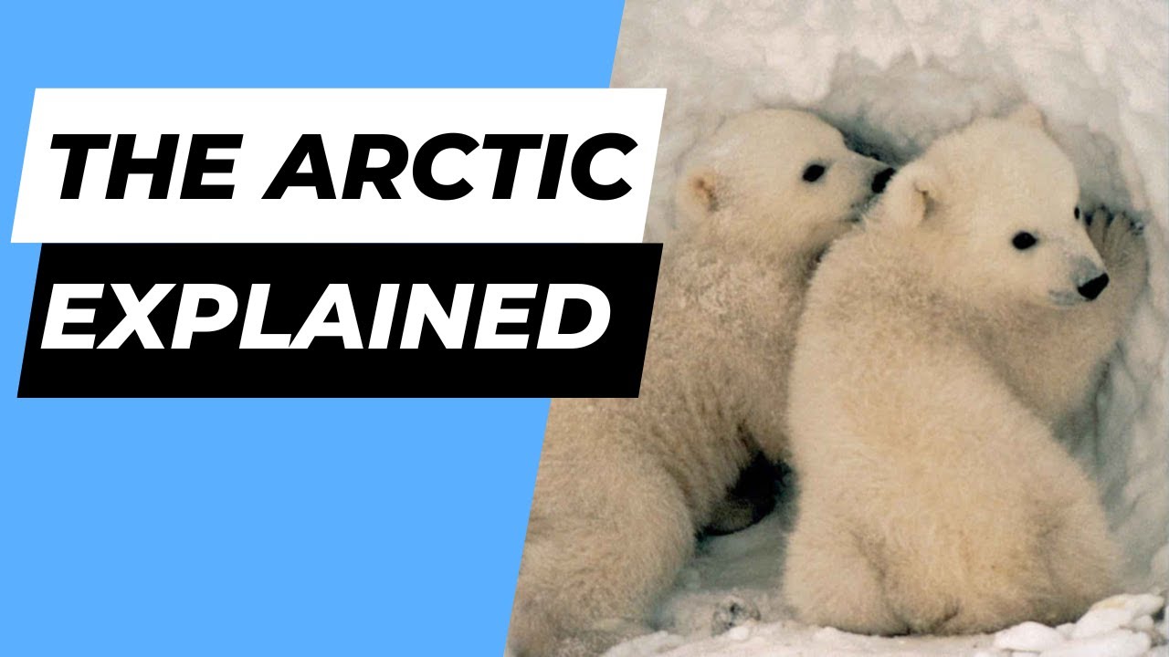 The Arctic Environment - EXPLAINED!!