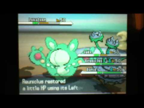 Pokemon Black - Friend Battles #2