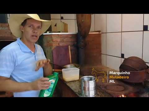 Shining Traias | #horse | Marquinho Muladeiro