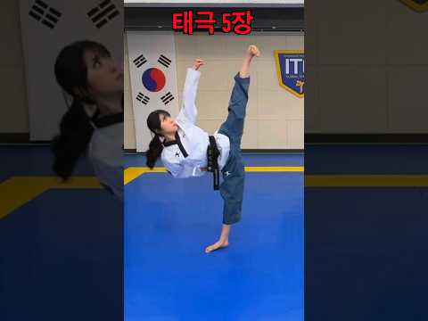 Taegeuk5 | Taegeuk Oh Jang | Taekwondo #shorts