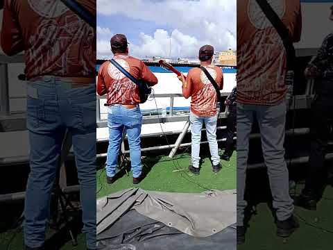 festa do carro de bois em rio real Bahia