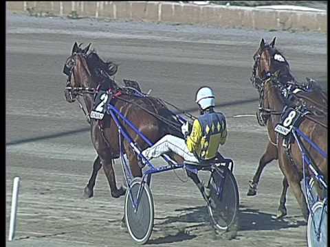 Trotto 14/04/2017 - 5ª corsa