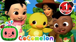 Cody & Cece Take a Nature Walk Song + Muffin Man Song + More | CoComelon - It's Cody Time