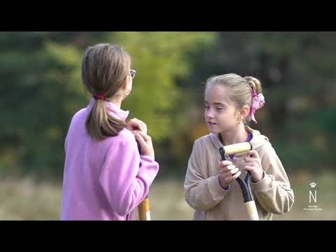 Codrii de Maine la Corbi, Arges