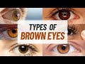 7 Different Types Of Brown Eyes You Won T Believe Actually Exist