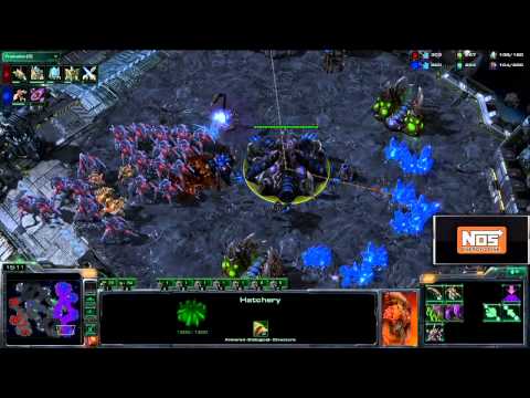 NOS Performance Replay Columbus - Sase vs Crazymoving