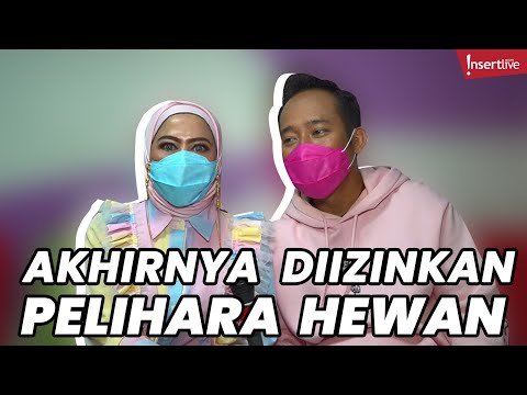 Rayakan Ulang Tahun, Anak Denny Cagur Minta Pelihara Anjing