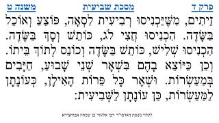 מסכת שביעית פרק ד משנה ט