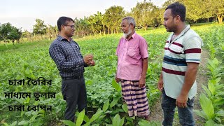 চারা তৈরি করে তুলার চারা রোপন