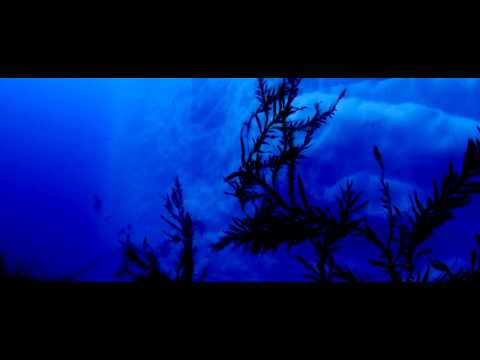 Outerdub - Cryogenics.