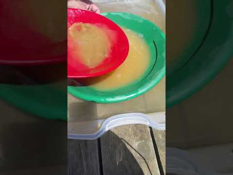 8Oz. GOLDN PAYDIRT NUGGET RESERVE CLUNKER