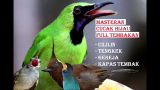 Download lagu MASTERAN CUCAK IJO ISIAN CILILIN,TENGKEK,KAPAS TEMBAK JERNIH mp3 Download lagu MASTERAN CUCAK IJO ISIAN CILILIN,TENGKEK,KAPAS TEMBAK JERNIH mp3