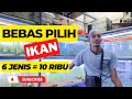 Ikan Hias Yang Cocok Untuk Di Tangerang