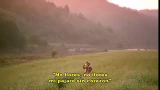 정情 My Heart (1999년 배창호 감독 작품)