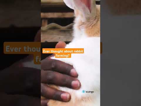 Transplanting vegetables kitchengarden gardening kitchengarden vegetablefarming farmingtips