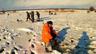 Отчеты о зимней рыбалке