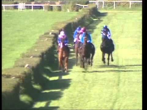 Dresdener Rennverein - 15.10.2011 - 1.Rennen