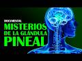 DOCUMENTAL Misterios De La Glándula Pineal Y Su Poder Escondido Según La Ciencia
