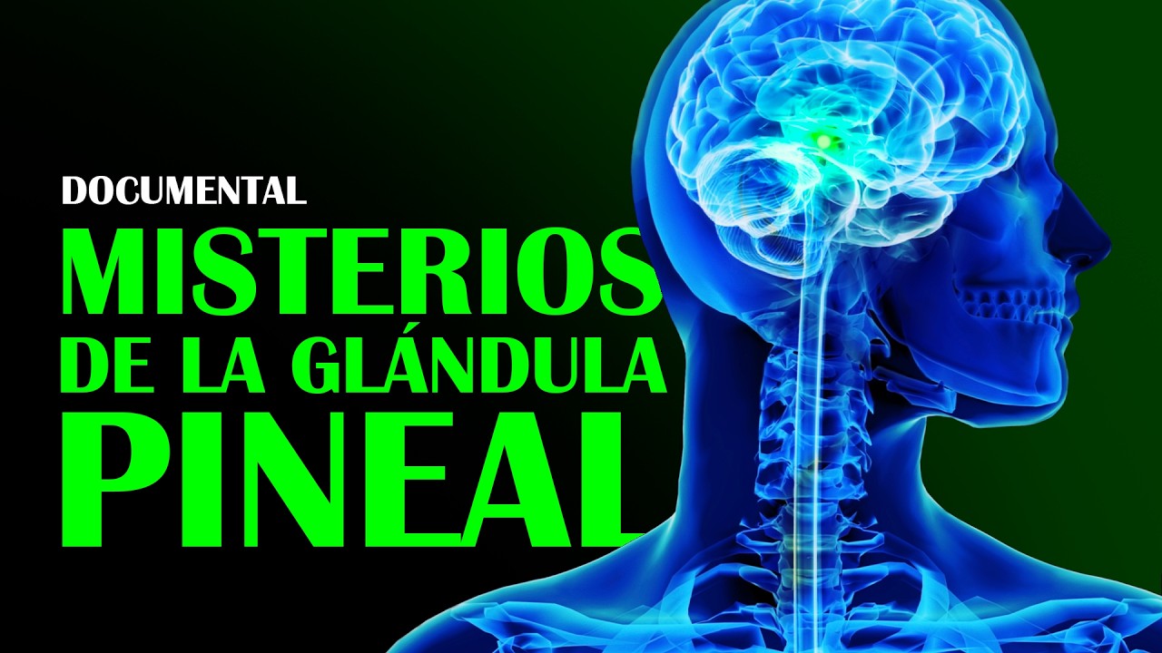 DOCUMENTAL: Misterios de la Glándula Pineal y su Poder Escondido Según la Ciencia