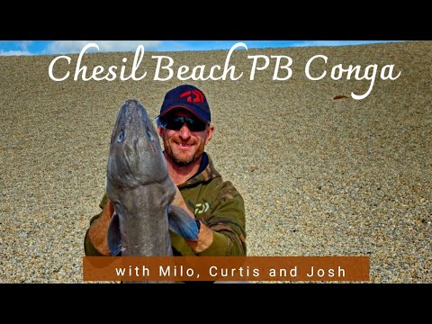 Monster Conger Eel Caught at Chesil Beach.