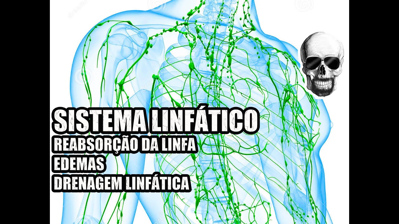 Vídeo Aula 138 - Anatomia Humana - Sistema Linfático: Linfa, Edemas e Drenagem Linfática