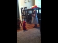 Dancing With Macy And Elmo